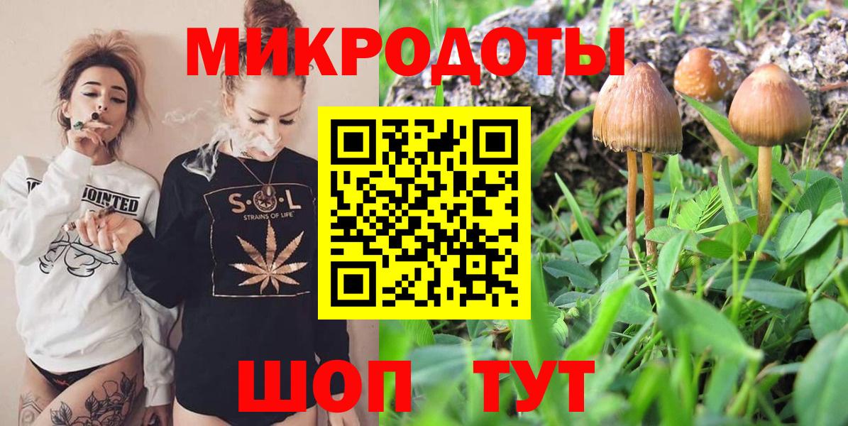 Галлюциногенные грибы мухоморы Елабуга